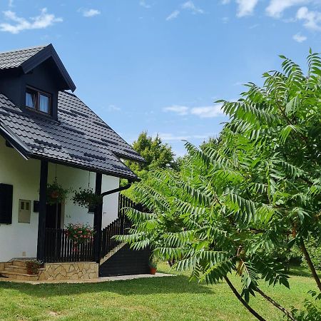 Apartman Poznanovic Apartment Rakovica Luaran gambar