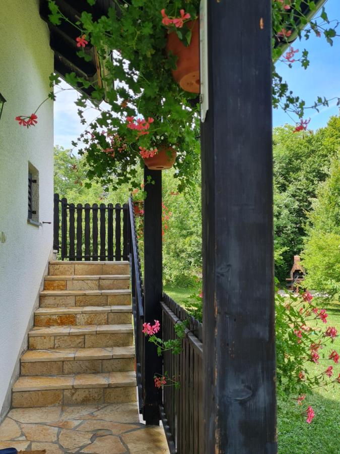 Apartman Poznanovic Apartment Rakovica Luaran gambar