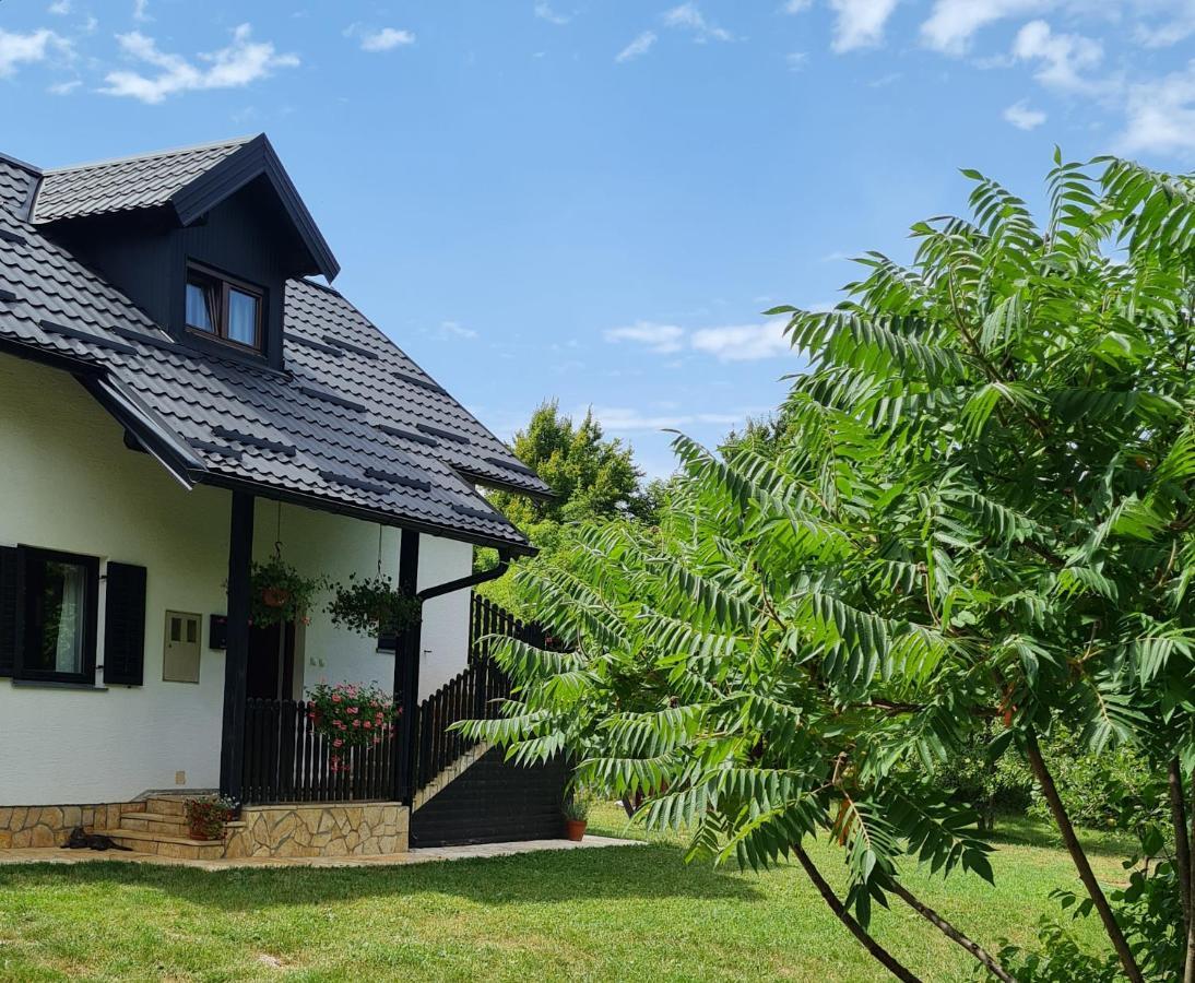 Apartman Poznanovic Apartment Rakovica Luaran gambar